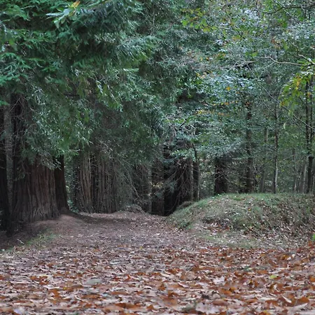 ホテル El Bosque De La Anjana Selores