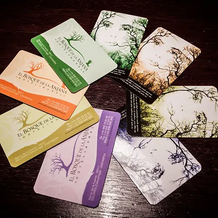 El Bosque De La Anjana