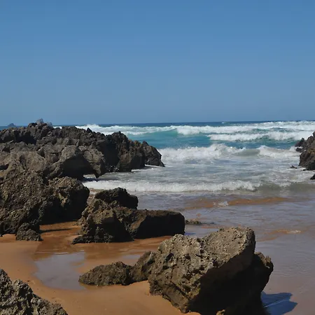 ホテル El Bosque De La Anjana 3*