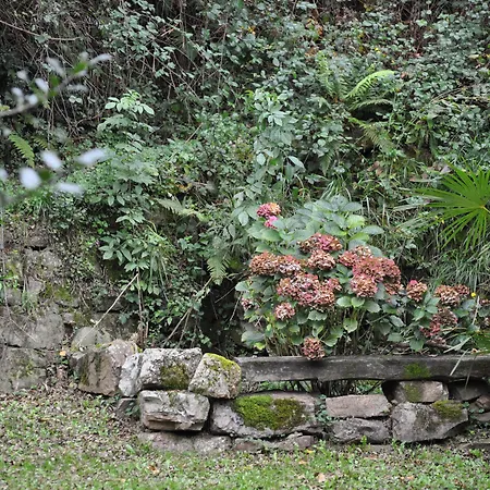 El Bosque De La Anjana Hotel Selores