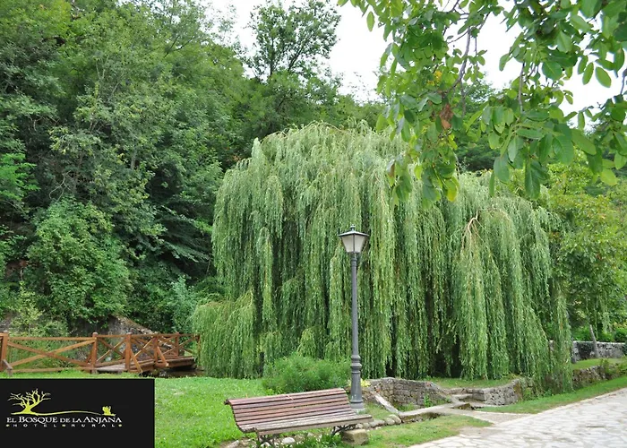 Hotel El Bosque De La Anjana 3*