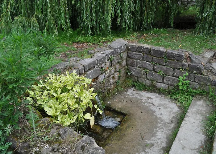 El Bosque De La Anjana 3* Selores