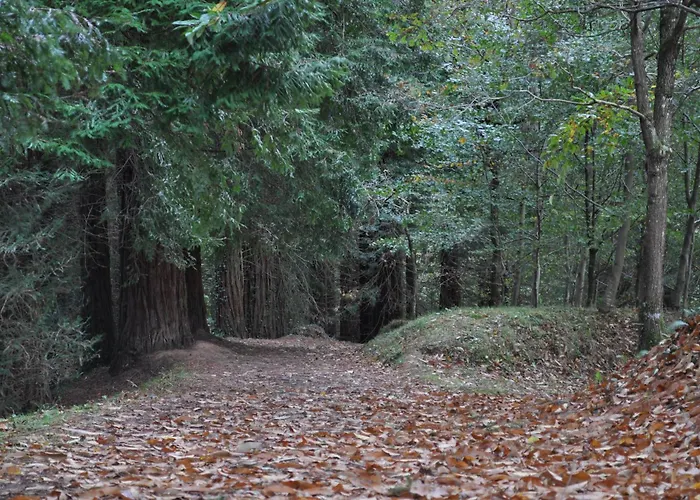 فندق El Bosque De La Anjana Selores