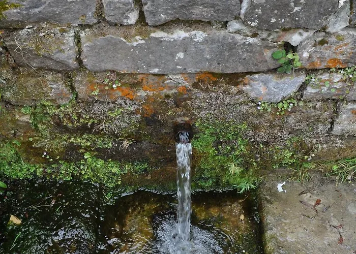 El Bosque De La Anjana Hotel 3*