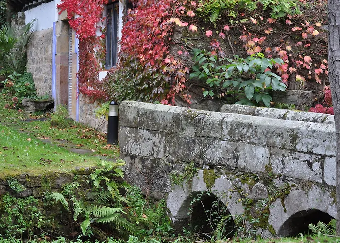 El Bosque De La Anjana 3*