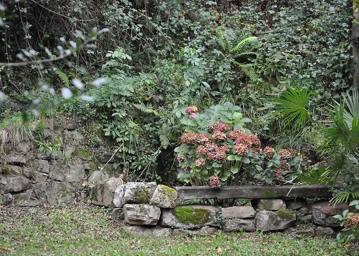 El Bosque De La Anjana Hotel Selores