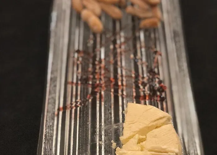 El Bosque De La Anjana Hotel Selores